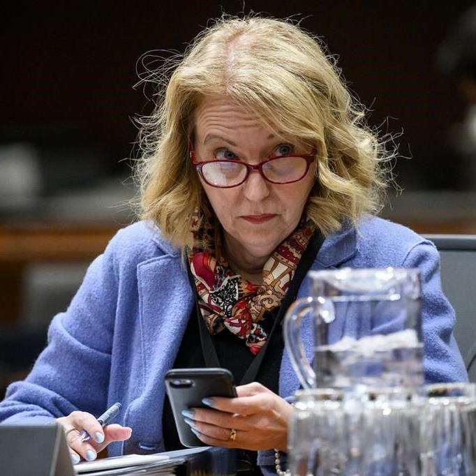 Ex-chief of staff to public safety minister denies stalling spy warrant approval